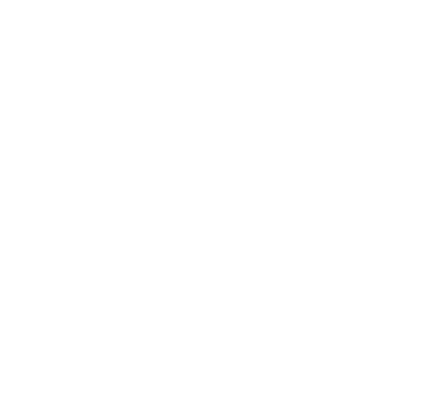 Certificazione ISO 9001